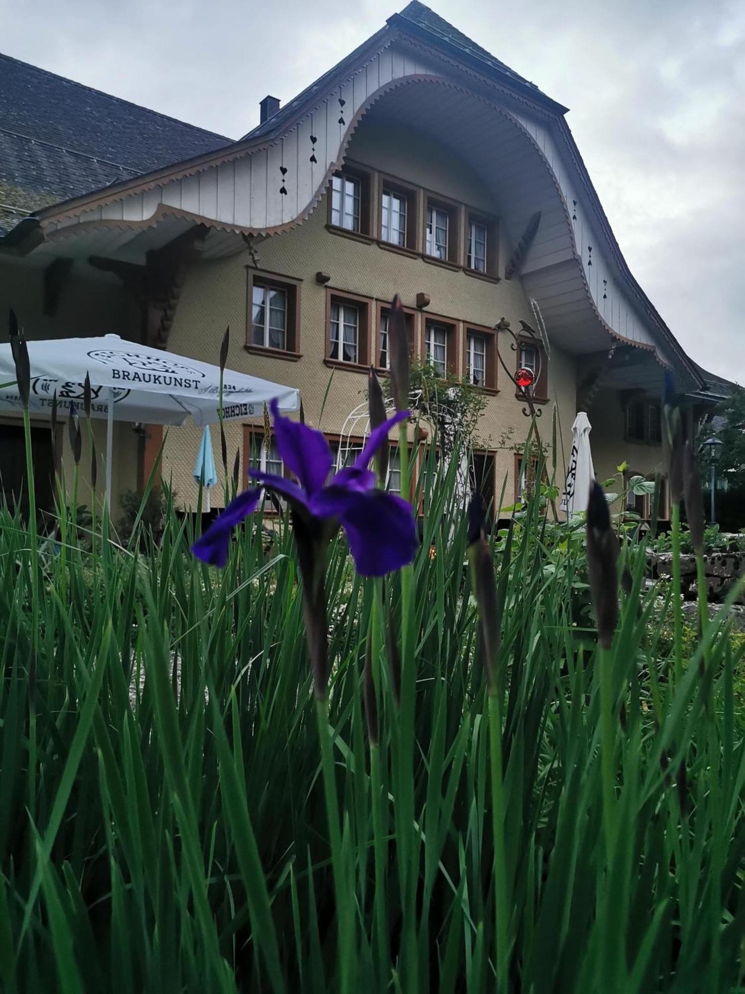 Gasthof Kreuz Marbach Экстерьер фото