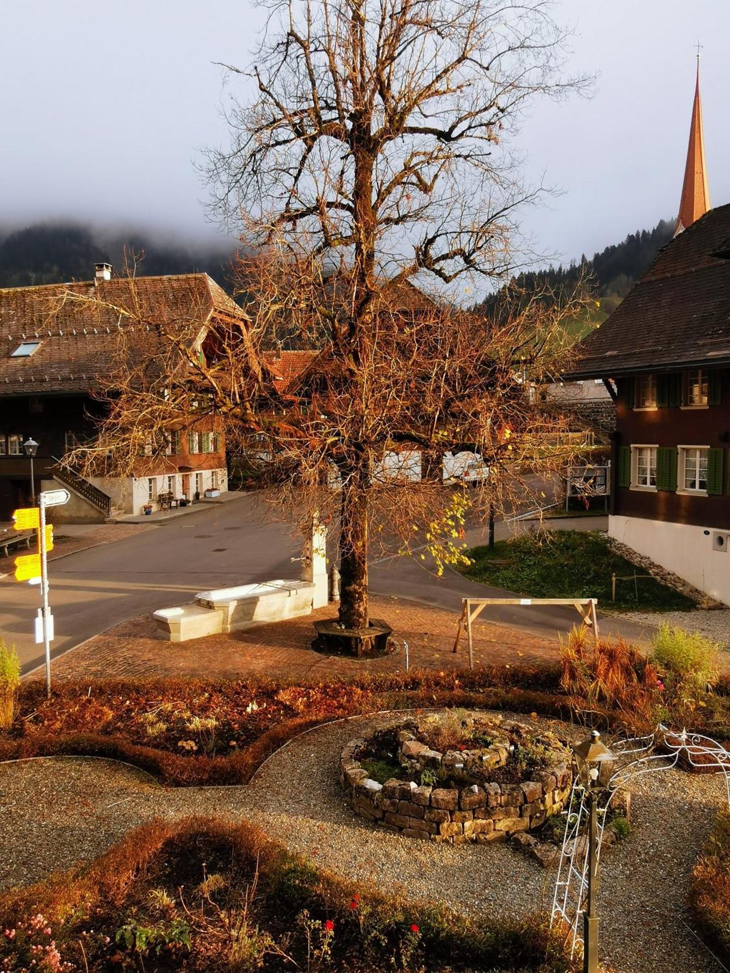 Gasthof Kreuz Marbach Экстерьер фото